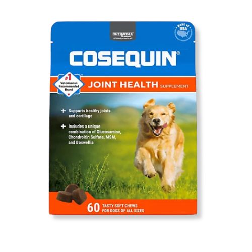 Nutramax® Cosequin DS Soft Chews + MSM 
