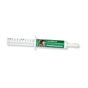 Oralx® Lactinex Paste 