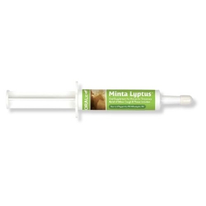 Oralx® Minta Lyptus Cough Calm 
