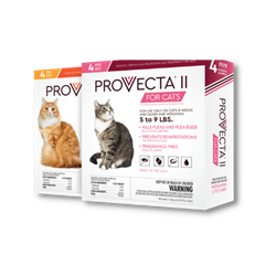 Provecta® Advanced for Cats 