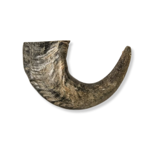 QT Dog® Water Buffalo Horn 