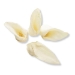 RedBarn® Lamb Ear - RB99336