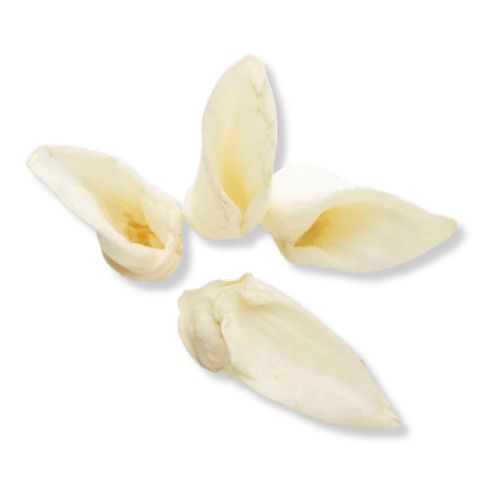 RedBarn® Lamb Ear 