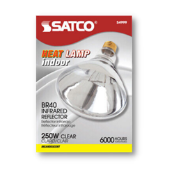 Satco® 250W Clear Bulb 
