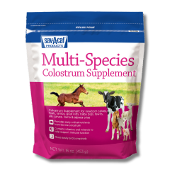 Sav-A-Caf® Multi-Species Colostrum Supplement (16oz) 