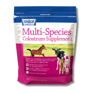 Sav-A-Caf® Multi-Species Colostrum Supplement (16oz) 