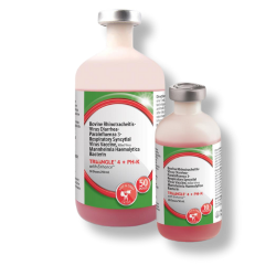Triangle® 4 + PH-K - 50 Dose 