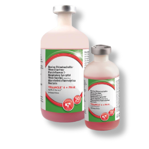 Triangle® 4 + PH-K - 50 Dose 