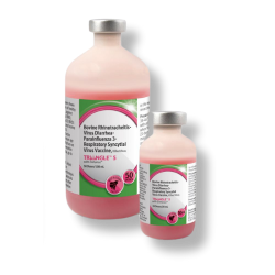 Triangle® 5 Cattle Vaccine 