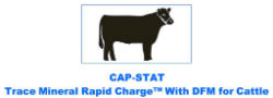 CAP-STAT Trace Mineral Rapid Charge™ with DFM for Cattle CAP-STAT, Trace, Mineral, Rapid, Charge™, DFM, Cattle, Supplies, Livestock, supplement, probiotics, vitamins, minerals