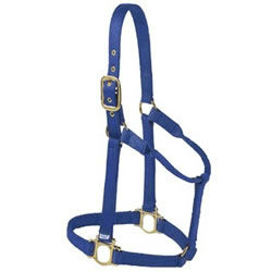 Valhoma® Premium "B" Horse Halters Valhoma®, Premium, "B", Horse, Halters, Equine, Halter, Premium