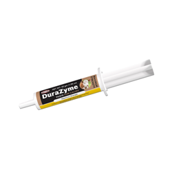 Durvet® DuraZyme Paste For Calves Durvet®, DuraZyme, Paste, Calves, newborn, cow, colostrum, supplement, increases, energy, levels, increased, nursing, action, higher, intake