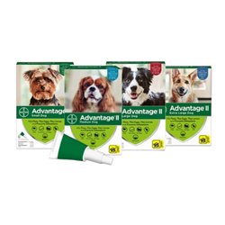 Advantage® II for Dogs (Topical) Advantage, II, dog, Bayer, Pet, Supplies, feline, flea, tick, treatment, topical, control, rapid, quick, kill, eggs, larvae, prevents, reinfestation, easy, apply, application, liquid, drops, puppy, large, small, canine, water, proof