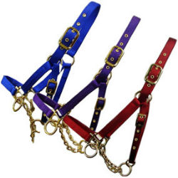 Valhoma®  Cattle Control Halter with Chain Valhoma®, Control, Halter, Chain, livestock, show, cow, halter, calf, yearling, bull