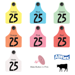 Allflex® Global Large Female Ear Tag GLF/GSM Allflex®, Global, Large, Female, Ear, Tag, GLF, GSM, cow, beef, Identification, tags, yellow, dairy, cattle, easy, application, highest, retention, durable, Self-piercing, male
