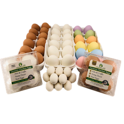 Clay Concepts® Ceramic Pottery Eggs Pottery, eggs, clay, concepts, poultry, chicken, hen, farm, coop, supply, dummy, egg, nest, snake, deterrent, training, hobby, prevent, reduce, cannibalism, peck, real, no, crack, decor, art, high, quality, long, last
