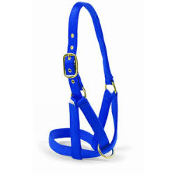 Valhoma® Cattle Utility Turn-out Halter Valhoma®, Utility, Turn-out, Halter, Livestock, cow halter, bull halter, show