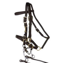 Valhoma® Halter-Bridle Combination  Valhoma®, Halter, Bridle, Combination, equine, Horse, Supplies, set, combo, tack