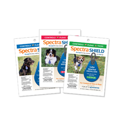Spectra Shield™ Collar Attached Medallion Spectra Shield, Collar, Attached, Medallion, Durvet, Pet, Dog, puppy, small, medium, large, supplies, flea, tick, treatment, f&t, control, repel, quick, effective, frontline, soresto, clip, pyrethroid, kill, all, stages, larvae, egg, protect, low, toxicity, skin, hair, coat, 4, month, protection, water, proof, resistant