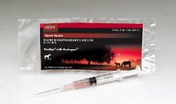 PRODIGY® with HAVLOGEN® Prodigy®, avec, Halvogen®, vaccination, vacine, vaccinate, healthy, equines, equine, horse, mare,  aid, prevention, abortion, respiratory, disease, associated, Herpesvirus, 1p, infection