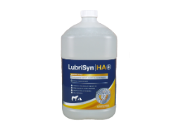 LubriSyn® HA+ MSM Equine & Pet LubriSyn® HA+ MSM Equine & Pet, LubriSyn, Equine Supplies, Pet Supplies, Pet health, Cat Health, horse health, joint Supplements, Dog Health, canine joint supplements, Equine Health, horse Supplement, Hyaluronic acid (HA), MSM, methylsulfonylmethane, equine osteoarthritis, pet anti-inflammatory, 