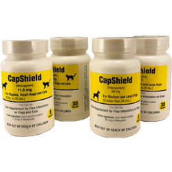 CapShield© (Capsule) CapShield, RXJ, nitenpyram supplement, flea killer, fast flea killer, flea killer tablet, Pet Supplies, dog supplies, cat supplies, flea preventative, capstar