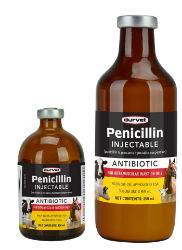 Durvet® Pen-Aqueous (Penicillin Injectable) Durvet® Pen-Aqueous (Penicillin Injectable), Durvet, Livestock Supplies, Horse Supplies, Equine Supplies, pennicillin injectable, injectable pennicillin