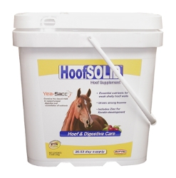Durvet® HoofSOLID™ Durvet®, HoofSOLID™, pelleted, hoof, digestive, supplement, formulated, provide, optimum, nutritional, support, normal, healthy, hooves, Omega, 3, fatty, acids, maintain, pliability, moisture, hooves, nutrients, work, together, cracked, strengthen, hoof, walls,growth, L-lysine, Methionine, Zinc, trace, mineral, keratin, development, Yea-Sacc®,1026, added, help, gut, pH, digestion, breakdown, assimilation, nutrients, Apple, flavored, palatability, palatable, 30, mg, biotin, per, serving, Methionine, 6100, L-lysine, 2150