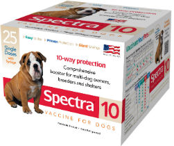 Canine Spectra® 10 Canine Spectra® 10, Durvet, Pet Supplies, dog supplies, canine vaccine, dog shots, 10-way dog shot, comprehensive canine booster, Canine Distemper, Canine Adenovirus Type 2 (CAV-2), Canine Parainfluenza, Canine Parvovirus Type 2b, Canine Coronavirus Vaccine-Leptospira Canicola-Grippotyphosa- Icterohaemorrhagiae-Pomona bacterial extract, respiratory infection, canine hepatitis (CAV-1), meets or exceeds USDA standards,  rapid immunity, do-it-yourself dog vaccination, ecconomical dog vaccine, annual dog vaccination