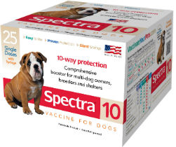 Durvet® Canine Spectra 10 Canine Spectra® 10, Durvet, Pet Supplies, dog supplies, canine vaccine, dog shots, 10-way dog shot, comprehensive canine booster, Canine Distemper, Canine Adenovirus Type 2 (CAV-2), Canine Parainfluenza, Canine Parvovirus Type 2b, Canine Coronavirus Vaccine-Leptospira Canicola-Grippotyphosa- Icterohaemorrhagiae-Pomona bacterial extract, respiratory infection, canine hepatitis (CAV-1), meets or exceeds USDA standards,  rapid immunity, do-it-yourself dog vaccination, ecconomical dog vaccine, annual dog vaccination