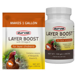 Durvet® Healthy Flock® Layer Boost with Omega-3 Durvet®, Healthy, Flock®, Layer, Boost, Omega-3, Poultry, chicken, supplies, vitamins, electrolytes, layer, egg, quality, quantity, blend, vitamins, electrolytes, enzyme, omega, 3, Marigold, daily, use, source, live, viable, direct, fed, microorganisms, D3, easy, scoop, packet, per, gallon, drinking, water, soluble, products