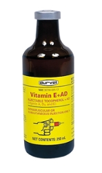 Durvet® Vitamin E + AD Durvet®, Vitamin, E, A, D, Aids, prevention, treatment, deficiencies, beef, dairy, cattle, Eight, times, more, effectively, absorbed, equal, amounts,  administered, orally, biologically, available, 49%, potent, synthetic, products, flexibility, intramuscular, subcutaneou,s injection, Excellent, syringeability