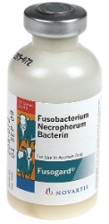 Elanco® Fusogard 20mL/10 ds Fusogard®, Footrot, infectious, disease, causes, swelling, lameness, feet, bacteria, Fusobacterium, necrophorum penetrate, healthy, intact, skin, abrasions, puncture, wounds, near, pasture, confinement, cattle, encounter, risk, factors, stones, frozen, dried, mud, stubble, wet, pens, cost, effective, antibiotics, bacterium, F. necrophorum, liver, Liver, abscesses, reduced weight gain, foot rot