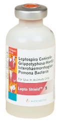 Lepto Shield™ 5 Lepto, Shield™, 5, Protects, strains, cattle, swine, Aids, prevention, control, diseases, Leptospira, canicola, grippotyphosa, hardjo, icterohaemorrhagiae, pomona, Safe, reliable, approved, pregnant, animals, without, concern, abortions