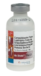 VIB Shield® Plus L5 - 100mL/50 Dose VIB Shield®, 100, mL, 50, Dose, one, shot, product,  protect, breeding, herd, against, vibriosis, five, common, strains, lepto, Novartis, XTend®, SP, adjuvant, maintains, higher, longer-lasting, immune, stimulation