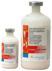 Vira Shield® 6 + VL5 HB Somnus Vira Shield® 6 + VL5 HB Somnus,  Elanco, Novartis, Cattle vaccines, Livestock supplies, killed cattle vaccine, Killed Virus vaccine, Bovine Rhinotracheitis, Virus Diarrhea, Parainfluenza 3, Respiratory Syncytial Virus,  Campylobacter Fetus, Haemophilus Somnus, Leptospira Canicola, Grippotyphosa, Hardjo-Icterohaemorrhagiae, Pomona Bacterin