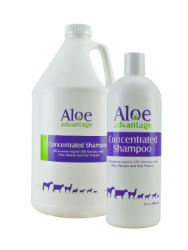 Durvet® Aloe Advantage Concentrated Shampoo Durvet®, Aloe, Advantage, Concentrated, Shampoo, Livestock, Horse, Equine, Pet, Small, Animal, Supplies, All, purpose, natural, 10x, formula, keratin, oat, protein, Professionally, formulated, cleanse, condition, hair, Enriched, natural, extracts, moisturizes, damaged, hair, adding, body, healthy, lustrous, shine,  Deodorizing, active, ingredient, Ordenone®, encapsulates, eliminates, foul, odors, attract, flies, No, drying, soaps, alcohol, Fresh, scent, No, salts, plant, based, botanical, formula, No, coat, stripping, detergents, dyes, 100%, Biodegradable, spray, applicators, Horses, cattle, llamas, sheep, goats, dogs, cats, ferrets 