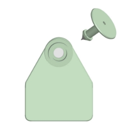 Allflex® Global Medium Female Ear Tag GMF/GSM Allflex®, Global, Medium, Female, Ear, Tag, GMF, GSM, cow, beef, Identification, tags, cows, medium, yellow, dairy, cattle, easy, application, highest, retention, durable, Self-piercing, male, livestock, calves, hog, swine, goat, sheep, ostrich