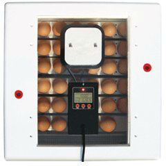 Pro Series Digital Circulated Air Incubator with Auto Turner 4250 Pro Series Digital Circulated Air Incubator with Auto Turner 4250, Farm Innovators, 085045042000, backyard chickens, chicken incubator, poultry incubator, incubator with built in hygrometer, incubator with automatic egg turner, fan kit for incubator, Durable plastic incubator, easy to clean poultry incubator, incubator kit,  incubator for hobby, educational incubator