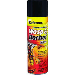 Zep® Enforcer Wasp & Hornet Killer ENFORCER® Wasp & Hornet Killer, Zep, Home & Garden Supplies, Barn Supplies, Ranch Supplies, hornet spray, wasp spray, pest control, flying pest control