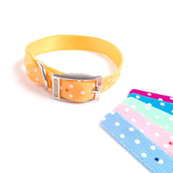 Valhoma® Fashion Dots Collar (Nylon) Valhoma®, Fashion, Collar, Pet, dog, supplies, nylon, Nylon, fashionable, colors, reflective, dots, 3/8", 8", 10",  12", long, 5/8",  wide, 10", 12" 14" 16", 18", long