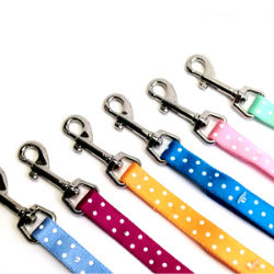 Valhoma® Single Layer Dots Leash (Nylon) Valhoma®, Single, Layer, Dots, Leash, Pet, Dog, Cat, dogs, leashes, cats, leads, lead