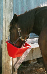 Plastic Better Bucket 10 Qt. Plastic Better Bucket 10 Qt., Miller Manufacturing, bucket feeder, flatback feeder, fence feeder, wall feeder, plastic feeder, livestock feeder, equine feeder, horse feeder, pet feeder, dog feeder