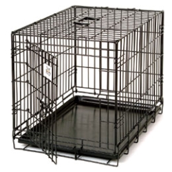 Pet Lodge® Small Wire Pet Crate Pet Lodge™, Wire, Pet, Crate, Small,  Dog, dogs, 30, pounds, multi-functional, home, travel, training, Secure, latches, jiggle, loose, downward, locked, heavy, duty, black, metal, e-coated, corrosion, resistance, rounded, corners, panels, ensure, safety, suitcase, style, crate, removable, plastic, carrying, handle, folds, down, compact, storage, removable, easy-to-clean, ABS, plastic, tray, collapsed, fully, assembled, Measures, 24, inch, long, 18, wide, 21, high