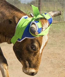 Mustang® “The Stinger” Horn Wrap Mustang, MFG, Stinger, Horn, Wrap, Livestock, roping, steer, horn, roping, heavy, weight, webbing, durability, vented, felt, bottom, cooling, comfort, protective, ear, flaps, tapered, horn, holes, fit, carefully, constructed, around, eye, full, line, sight, easily, adjustable, stays, securely, place, nickel, plated, hardware, Blue, Lime