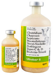 Zoetis® Ultrabac 8 Ultrabac® 8, Zoetis, Pfizer, Livestock Supplies, Cattle Supplies, Sheep Supplies, Cattle vaccine, sheep vaccine, clostridial diseases, blackleg