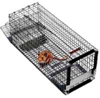 Pied Piper Small Rodent Trap 100 Pied, Piper, Small, Rodent, Trap, 100, wildlife, management, animal, trapping, live, wildlife