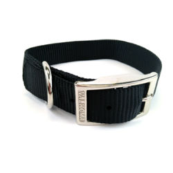 Valhoma® 1" Single Layer Collar (Nylon) Valhoma 1" Single Layer Collar, Valhoma, Pet Supplies, dog supplies, dog collars, nylon dog collars