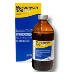 Norbrook® Noromycin 300 LA 500 mL Norbrook®, Noromycin, 300, LA, 500mL, broad-spectrum, antibiotic, 300, mg, oxytetracycline, per, ml, Indicated, treatment, pneumonia, shipping, fever, pinkeye, wounds, infections, foot-rot, scours, caused, E. coli, recommended, use, beef, cattle, non-lactating, dairy, calves, swine, dosage, 3, ml, per, 100 lbs, SQ, deep, IM