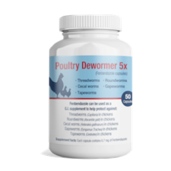 Poultry Dewormer 5x Poultry, Dewormer, 5x, Fenbendazole, capsules, Eliminates, different, types, intestinal, parasites, Conveniently, dosed, beef, flavored, added, feed, spread, over, food, given, orally, G.I, Supplement, used, treat, internal, parasites, Same, active, ingredient, Safe, Guard, SafeGuard®, Safeguard, chicken, turkey, fowl, game, medicated, ivermectin, organic, wazine, 17, 34, verm-x, dose, worms, direct, indirect, backyard, broilers, layers, egg, withdrawal, one, capsule, treat, 4, 7, lb, lbs, pound, pounds, bird, avian,  aviary, avis, aves, domesticus, Threadworms, Round, Cecal, Gape, Tape, 4-7, Capillaria, Ascardia galli, Heterakis gallinarum, Syngamus Trachea, Cestodes, wormer, dewormer, de-wormer, coop, flock, health, healthcare, care, chic